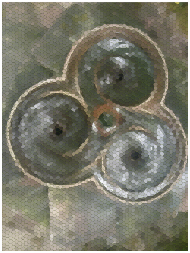 Main image Individuation